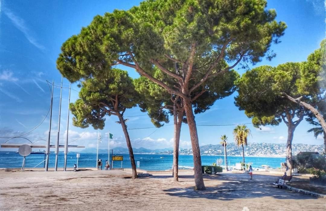 Splendide 3 Pieces Vue Mer Antibes Kültér fotó